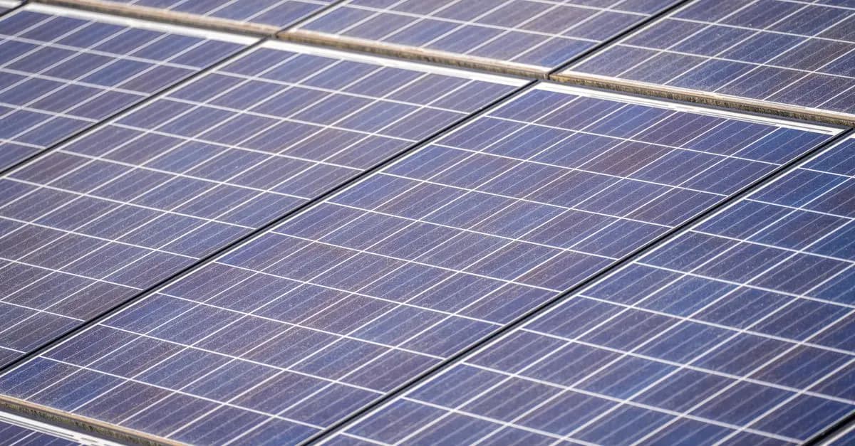 Comment mesurer l'impact environnemental de vos événements ?