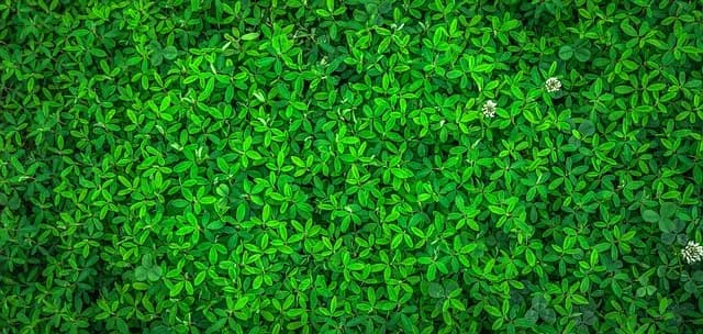 Comment réussir un événement écoresponsable : astuces pratiques