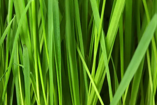 Comment choisir des matériaux écoresponsables pour vos événements ?