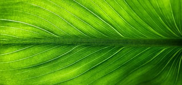 Les meilleures pratiques pour le choix de fournitures écoresponsables